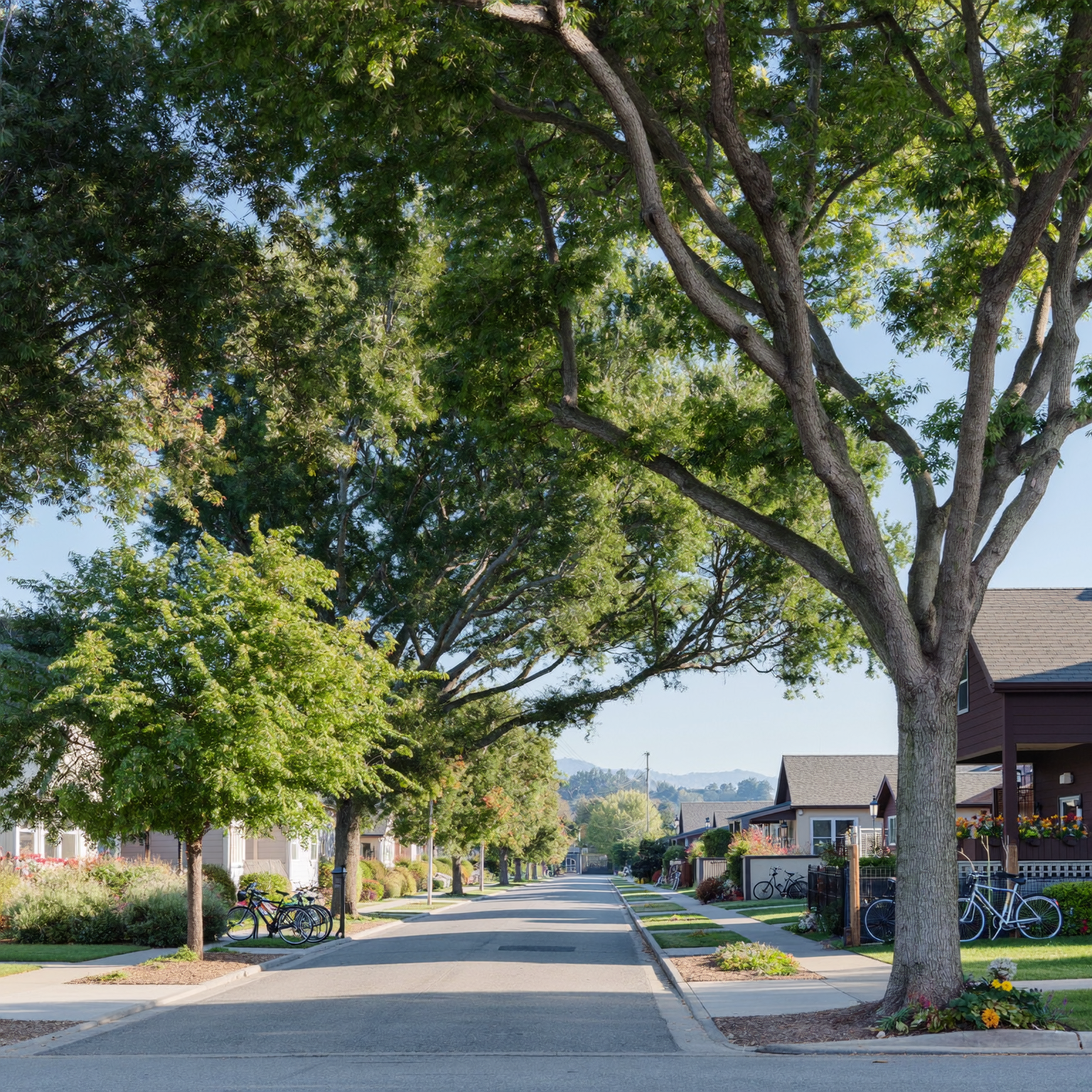 Editorial cover image for Is Fort Collins Walkable for Home Buyers?